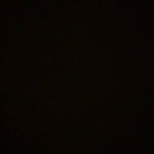 Meet your Posher, Lily